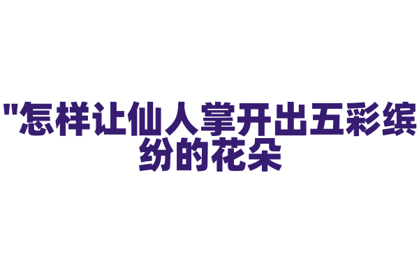 "怎样让仙人掌开出五彩缤纷的花朵？"